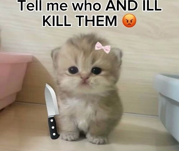 ​​​