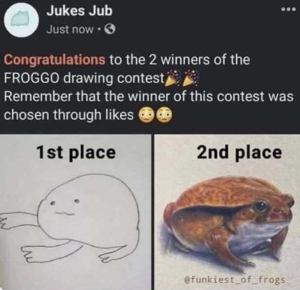 1st place should have been disqualified. Clearly a picture of a frog!