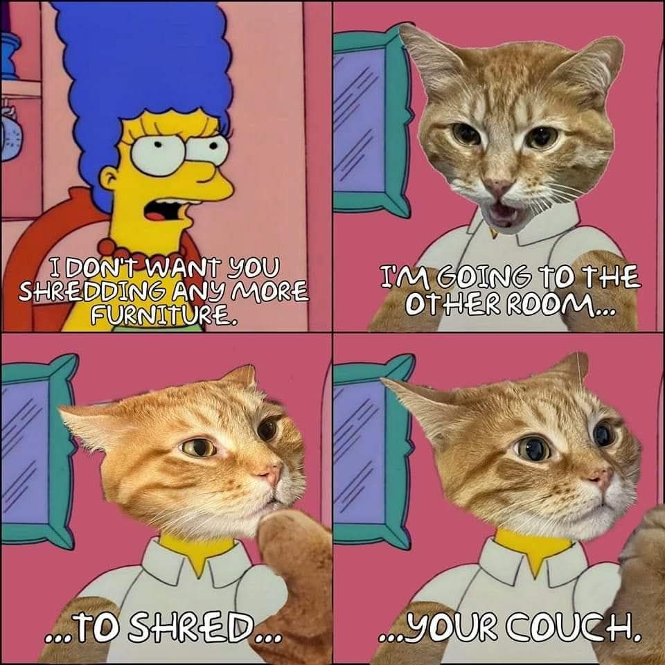 Every time