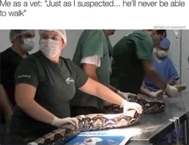 ​​​