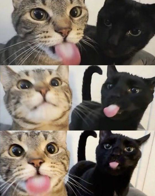 Me and who?