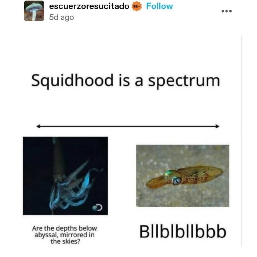 ​​​
