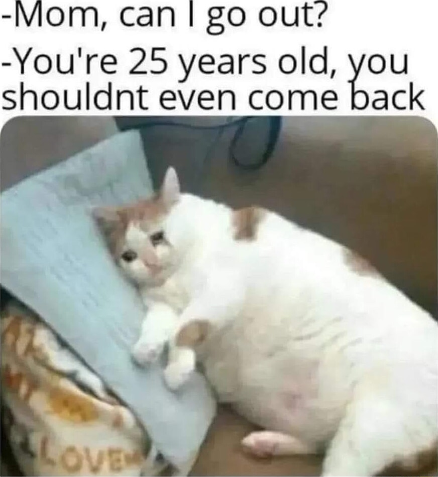 ​​​