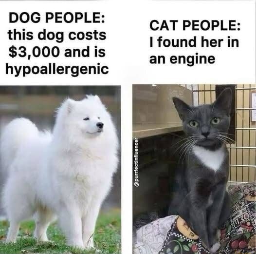 ​​​