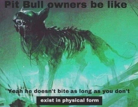 Watch out for the chihuahua tho, that one bites you when you're ethereal