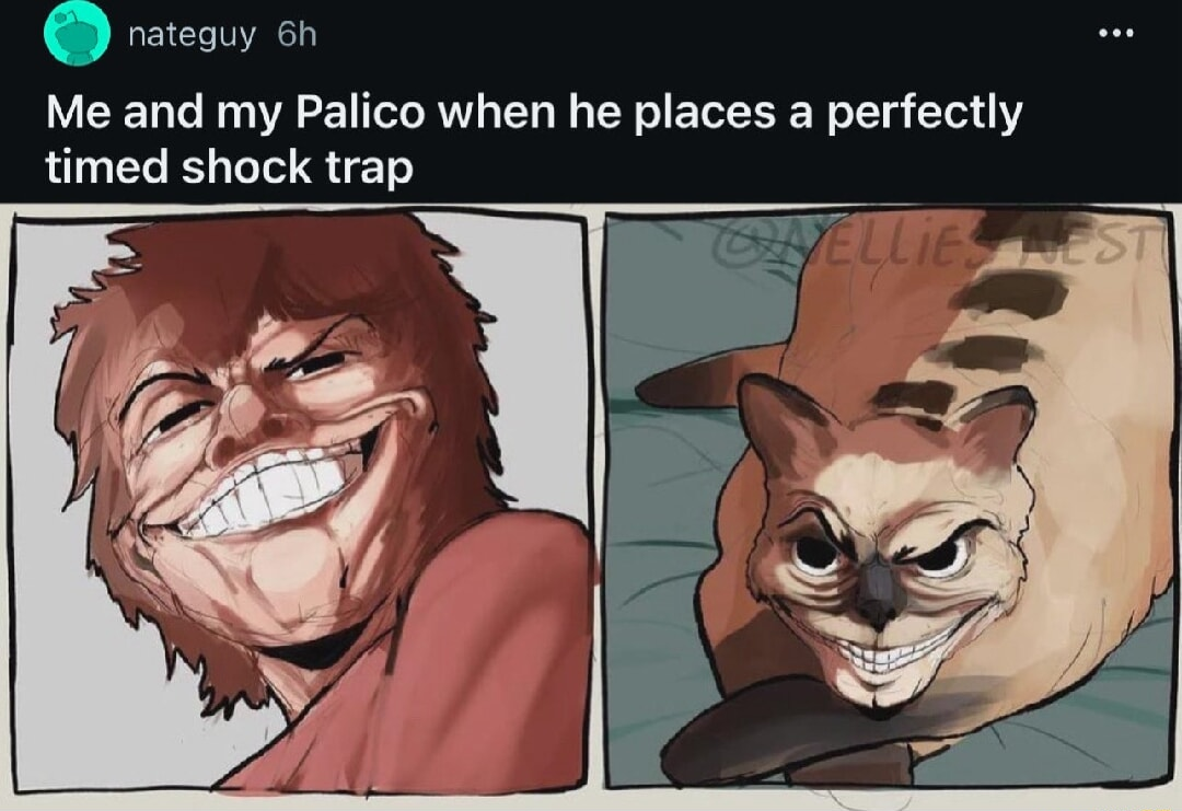 ​​​