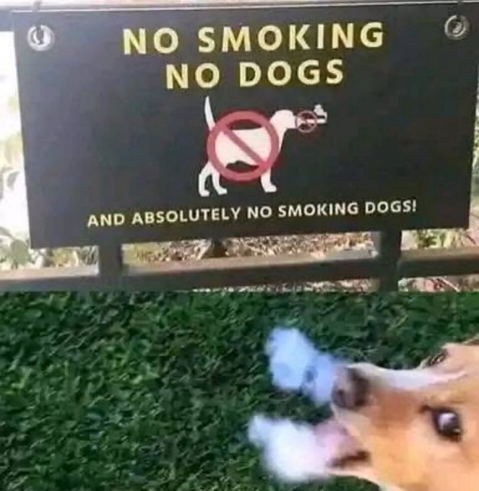 ​​​