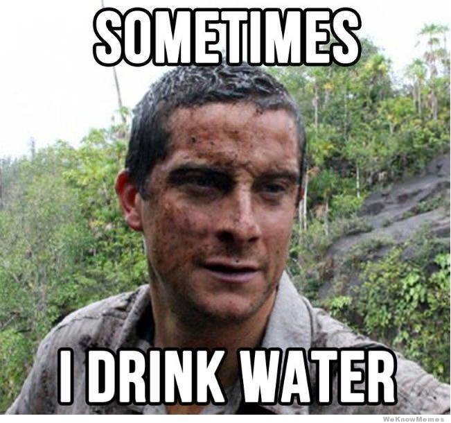 Confession Bear Grylls