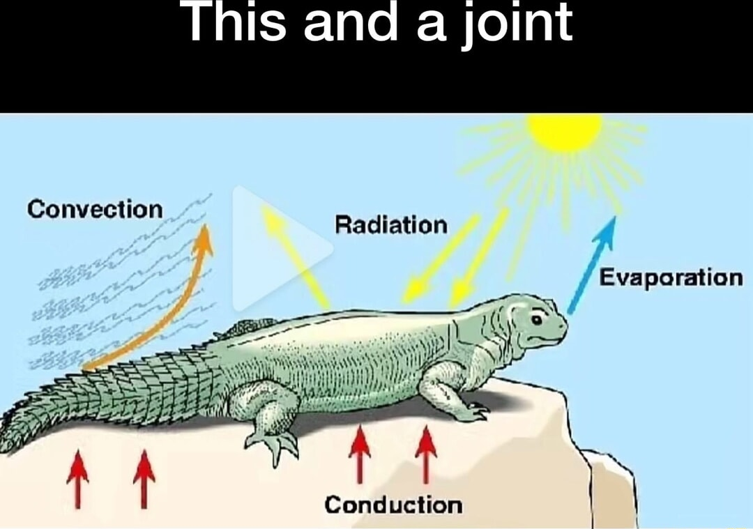​​​