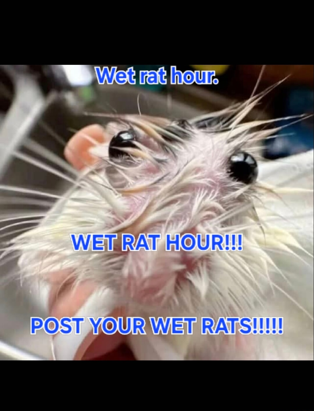 ​​​