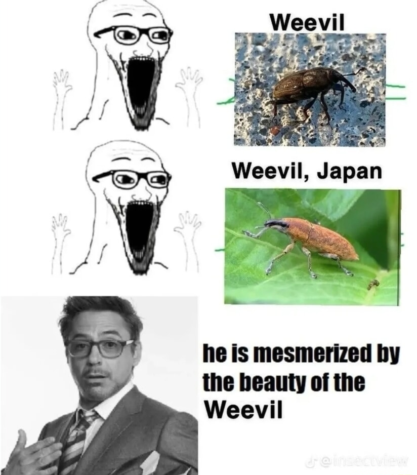 ​​​