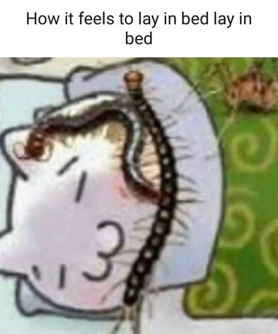 ​​​