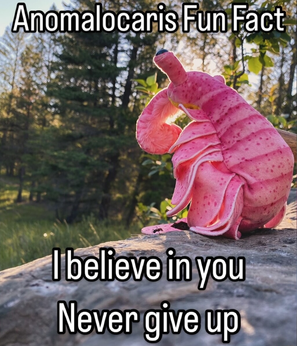 ​​​