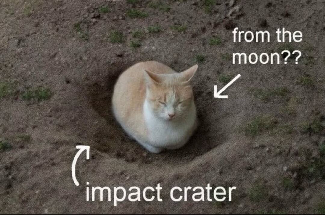​​​