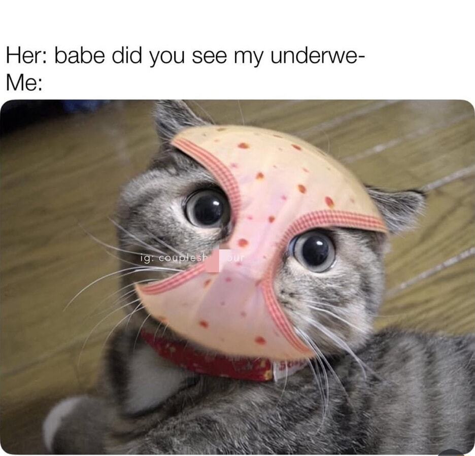 ​​​