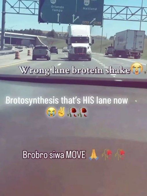 Broski... Brotislava... Brotato chip...