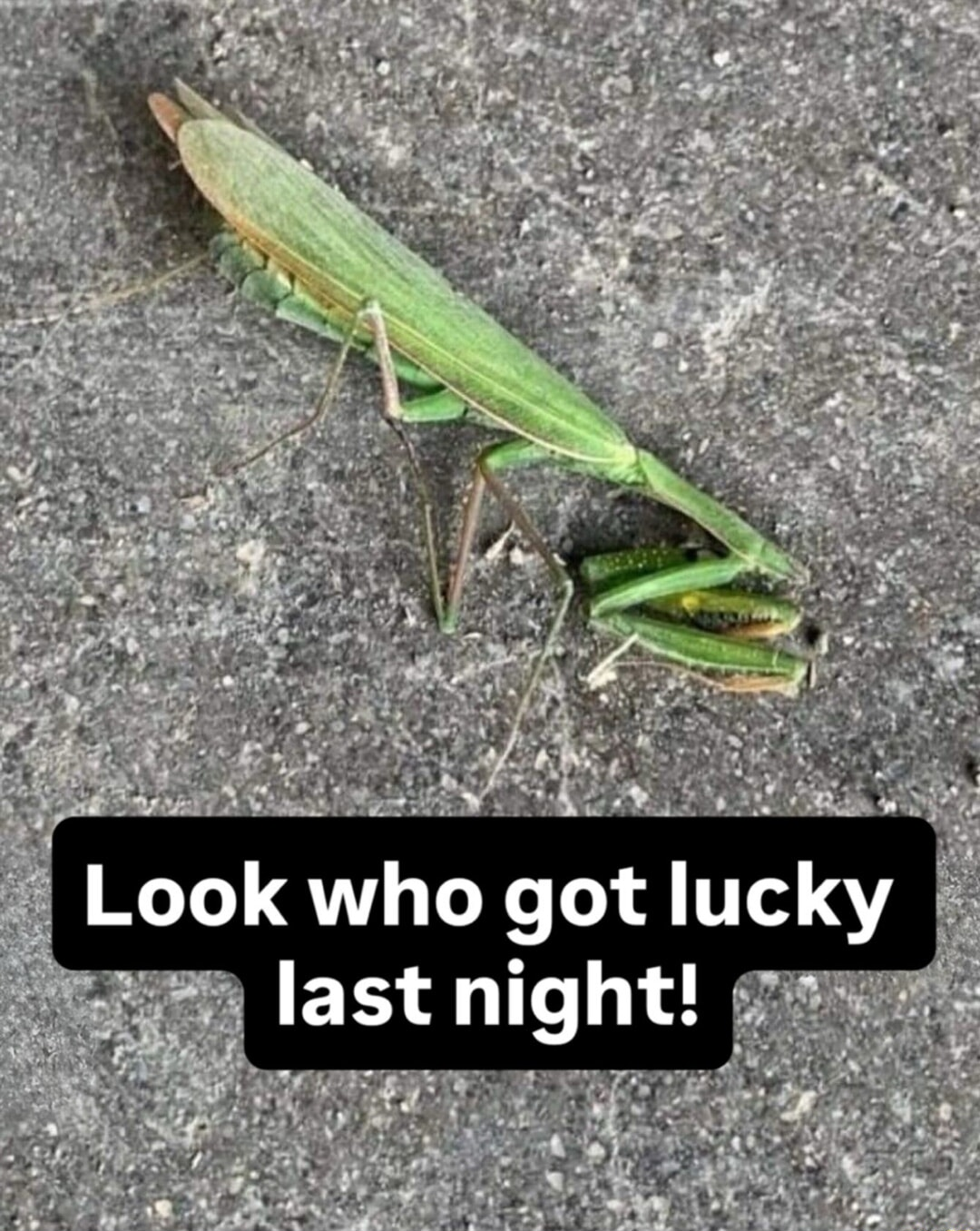 ​​​