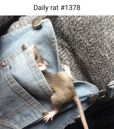 ​​​