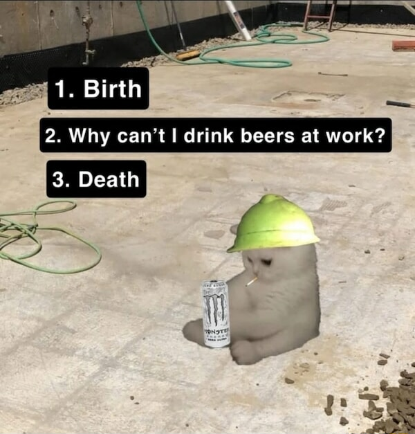 ​​​