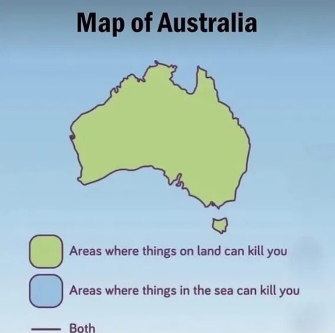 ​​​