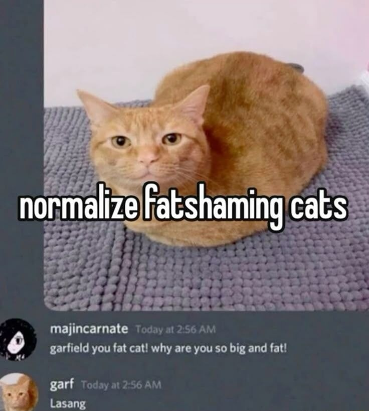 ​​​