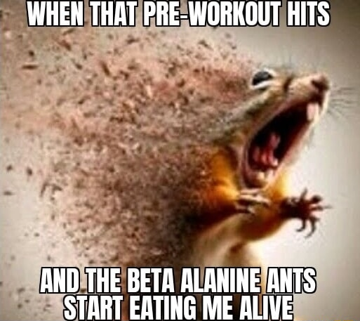​​​