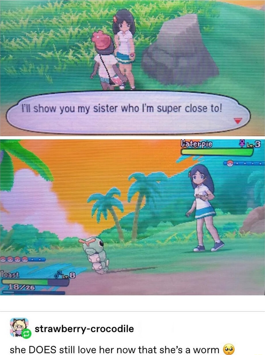 ​​​
