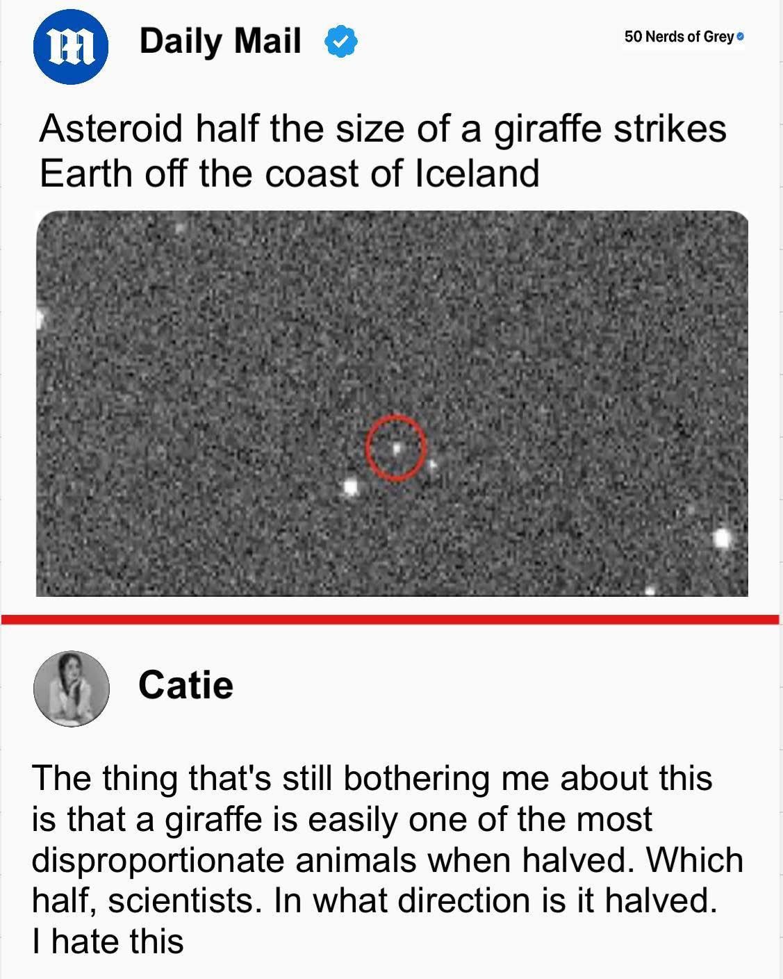 Next: Baby giraffe the size of a 5th of an asteroid is born in zoo