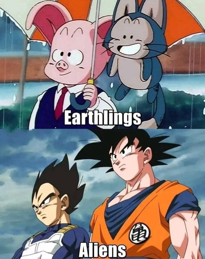 ​​​