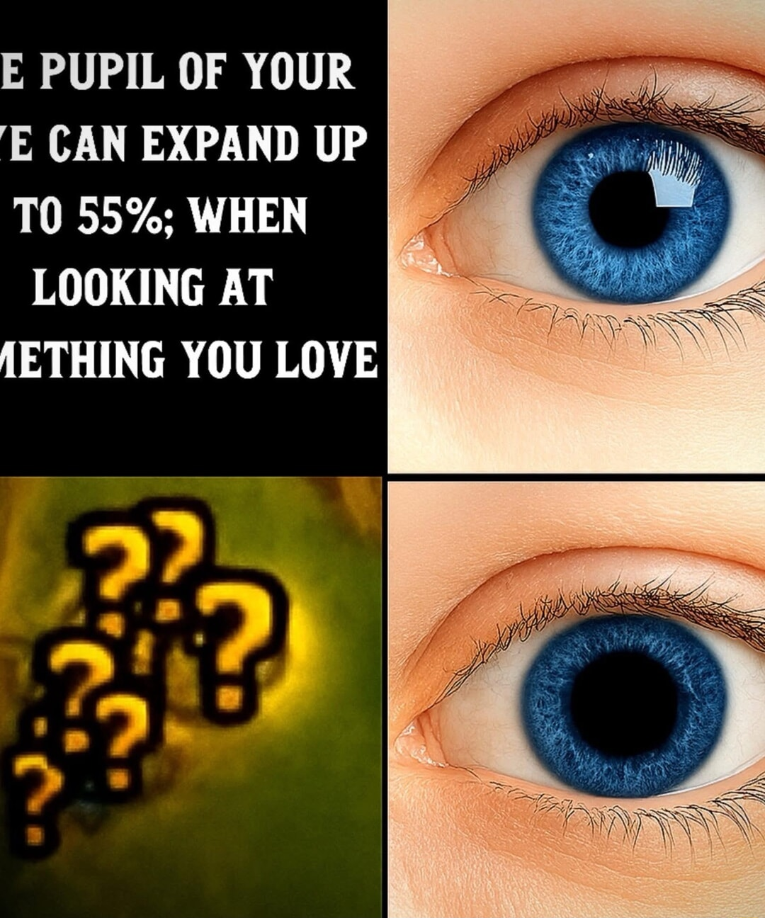 ​​​