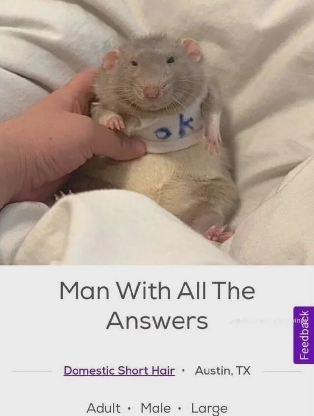 ​​​
