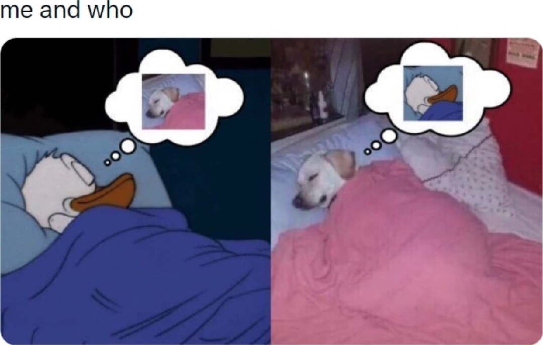 ​​​