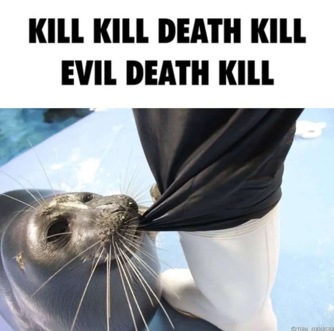 ​​​