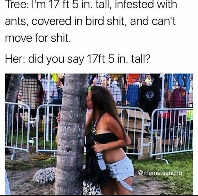​​​