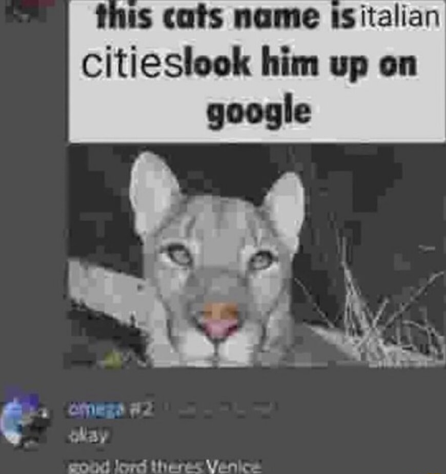 ​​​