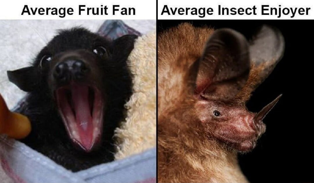 ​​​