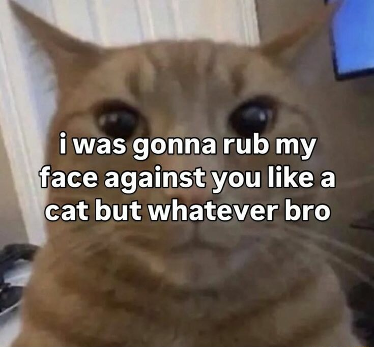 ​​​