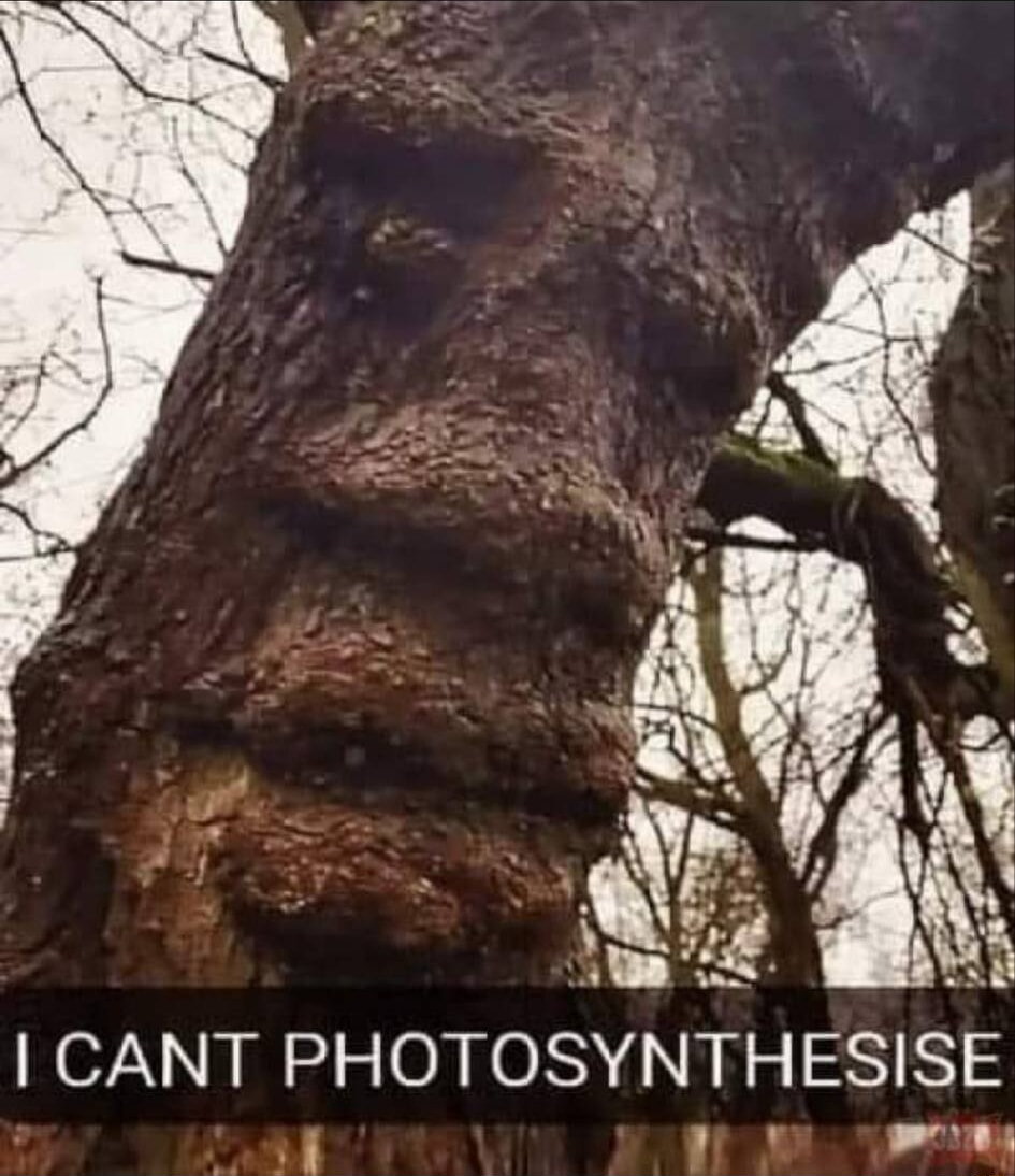 ​​​