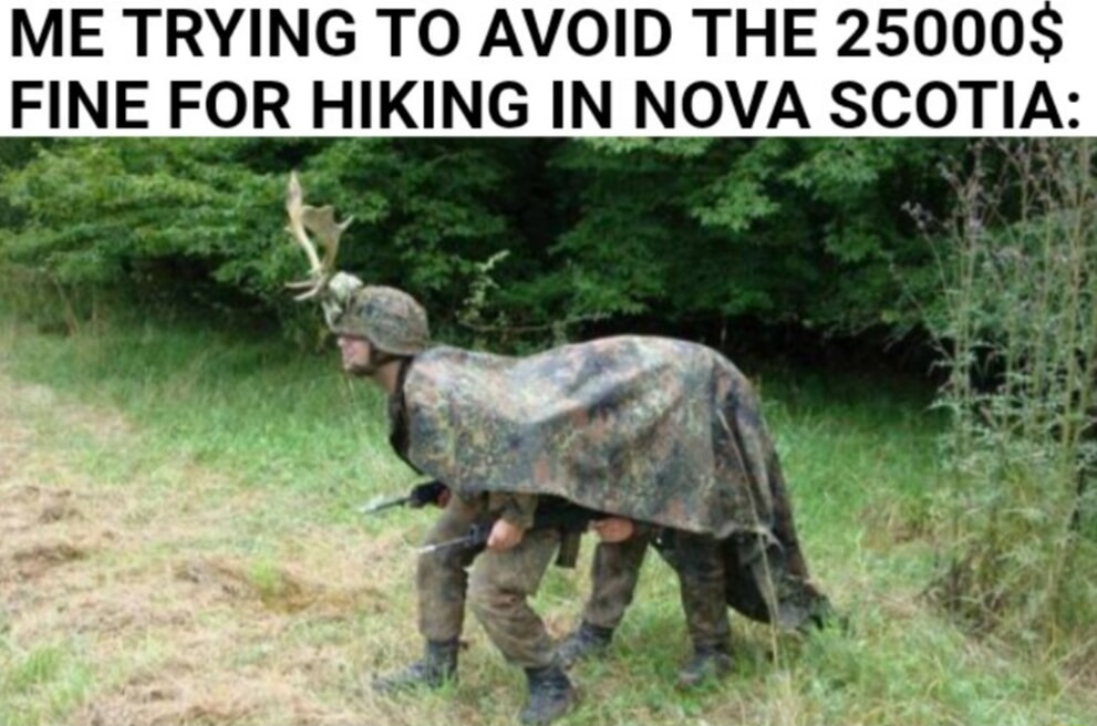 ​​​