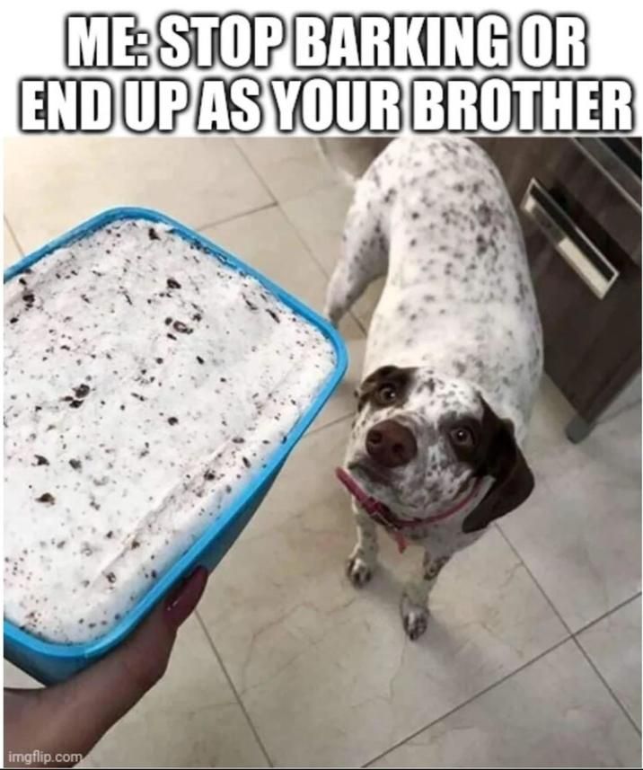 ​​​