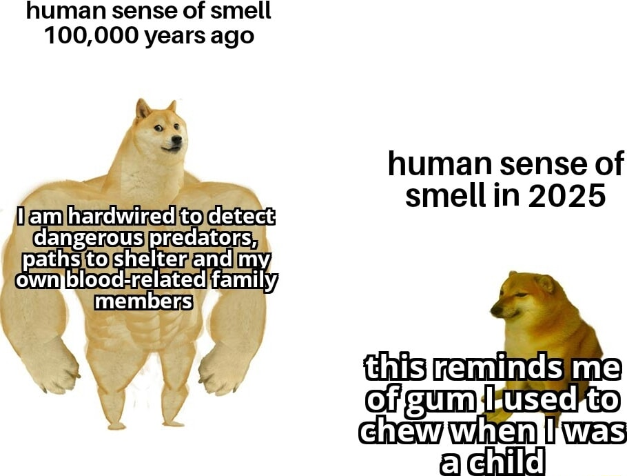 ​​​