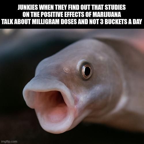 ​​​