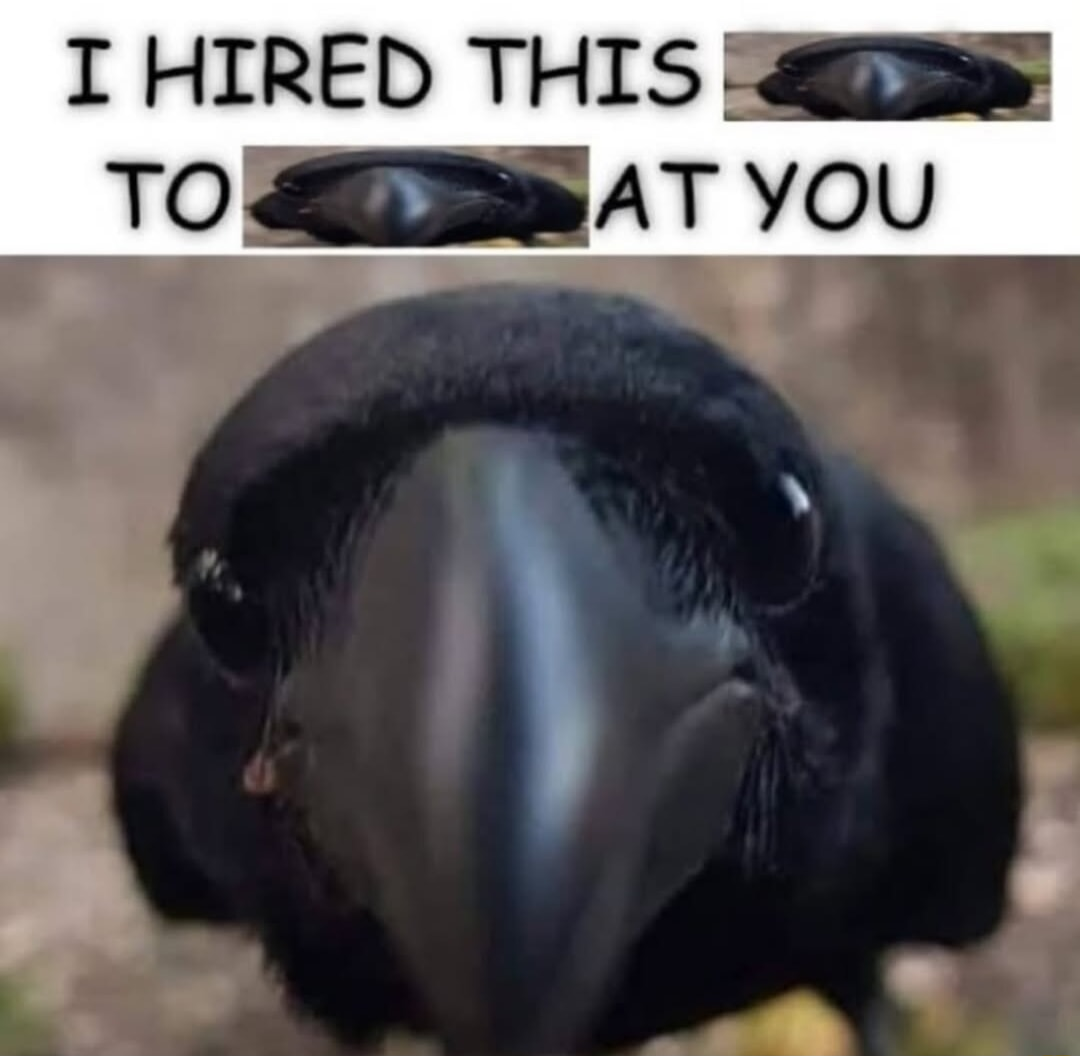 ​​​