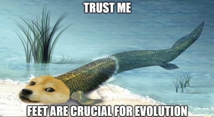 ​​​