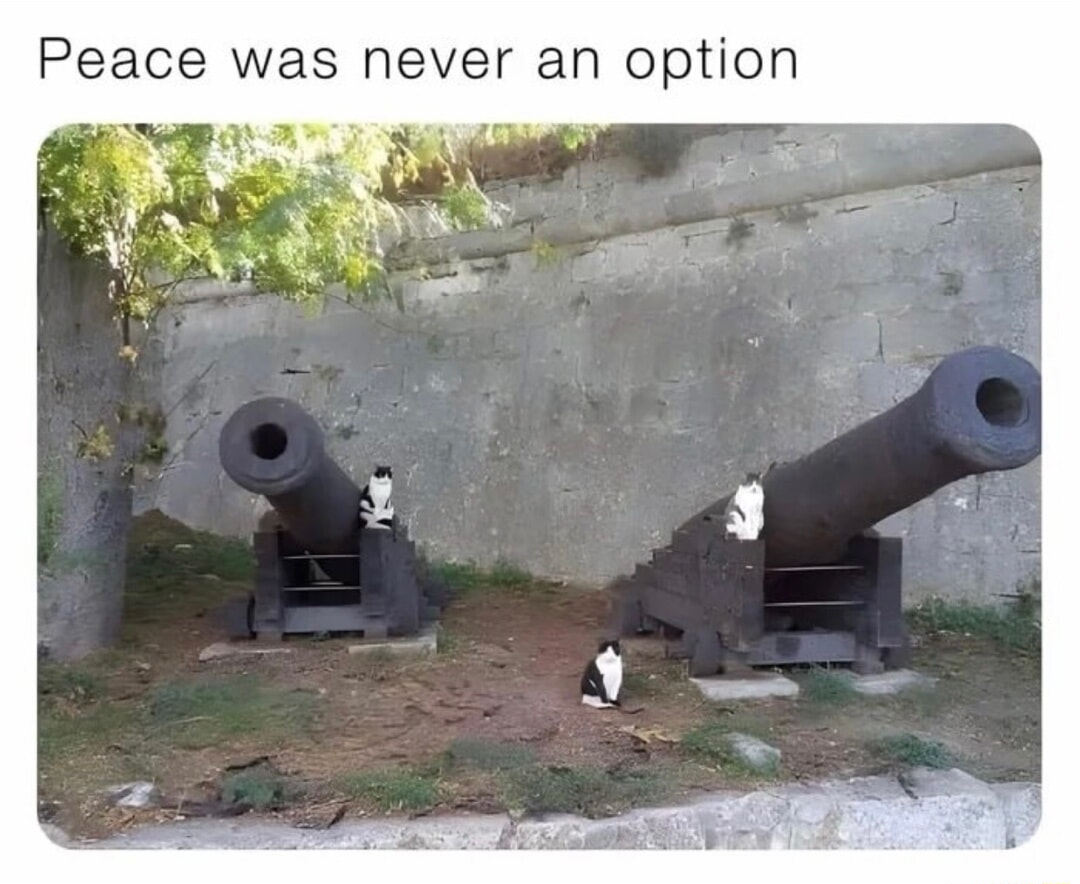​​​