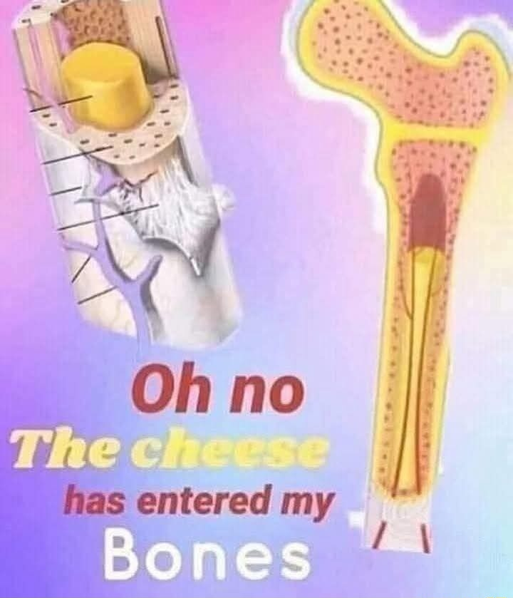 ​​​