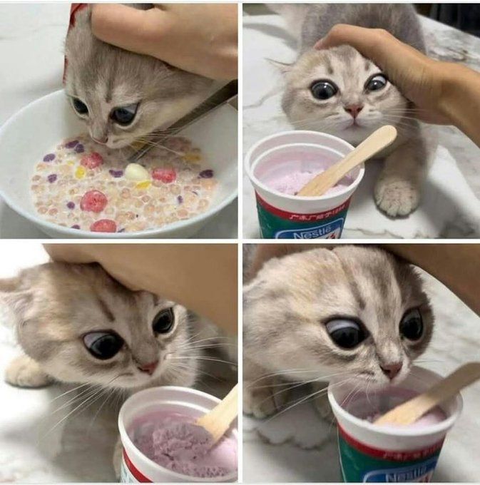 Me when I see goth grill with big tiddies