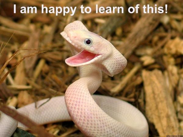 Happy snake is happy