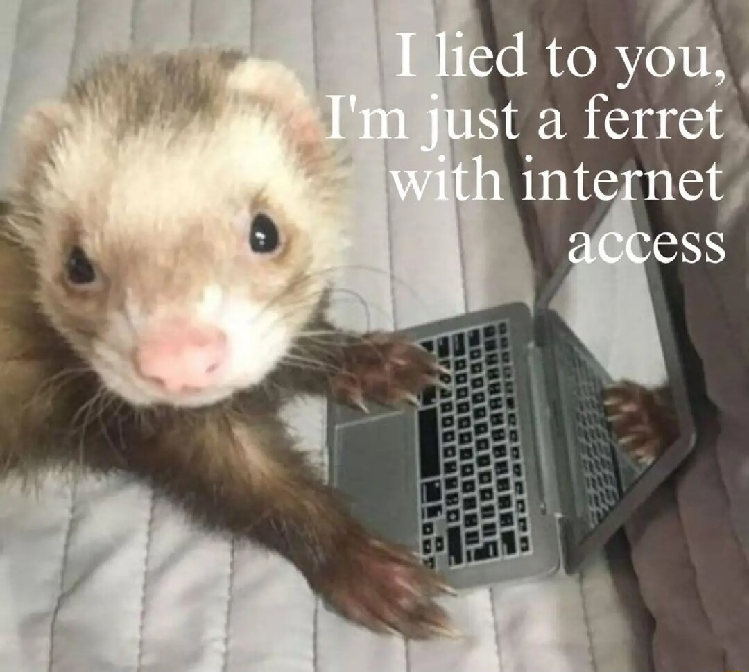 ​​​