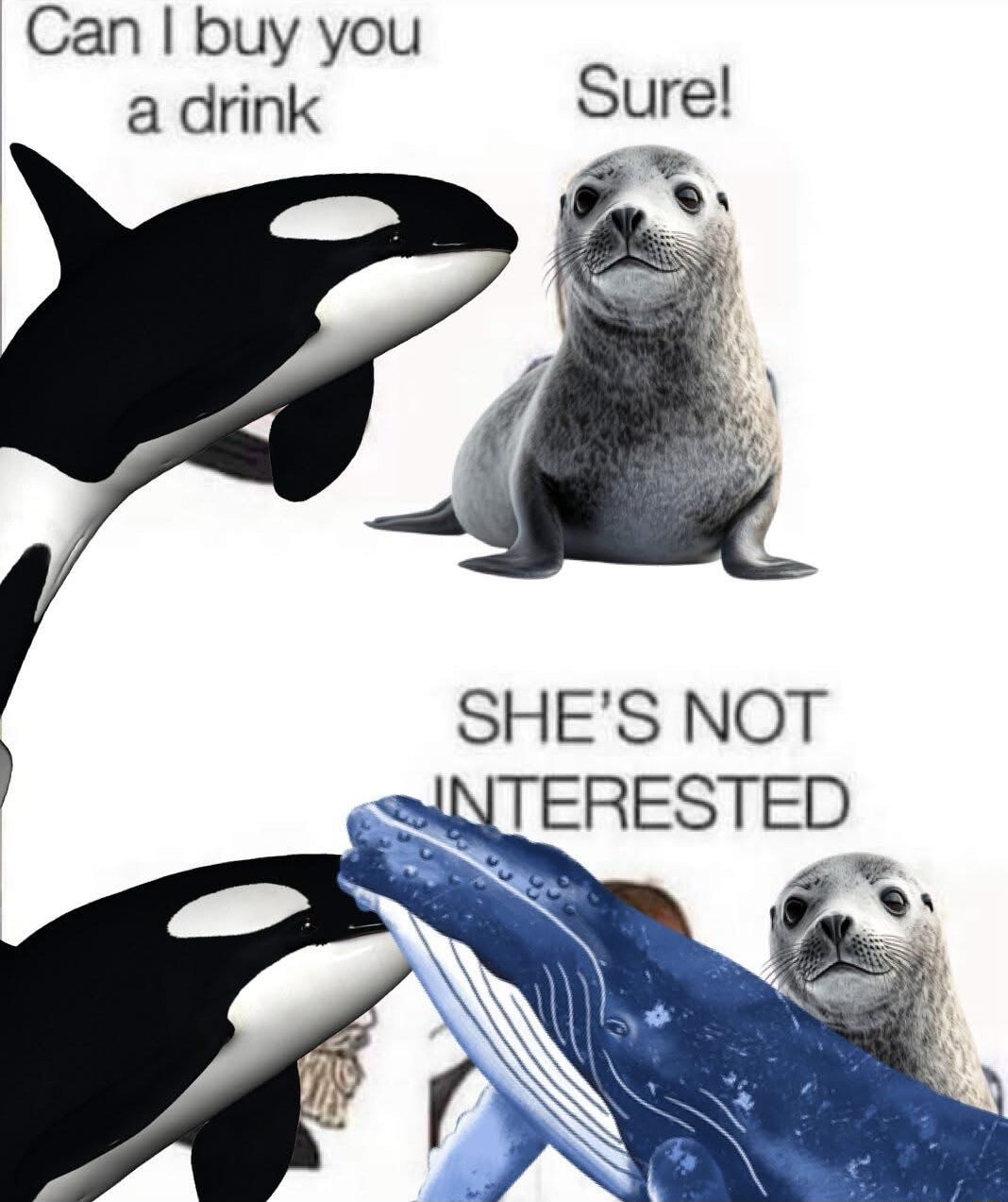 ​​​